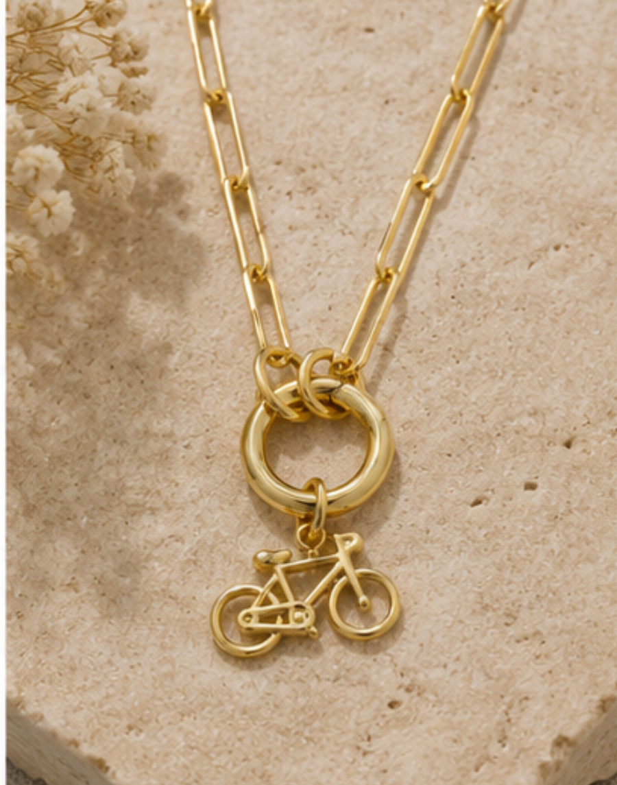 Fiets Ketting
