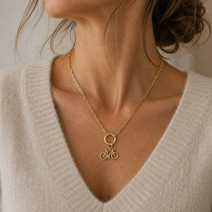 Fiets Ketting