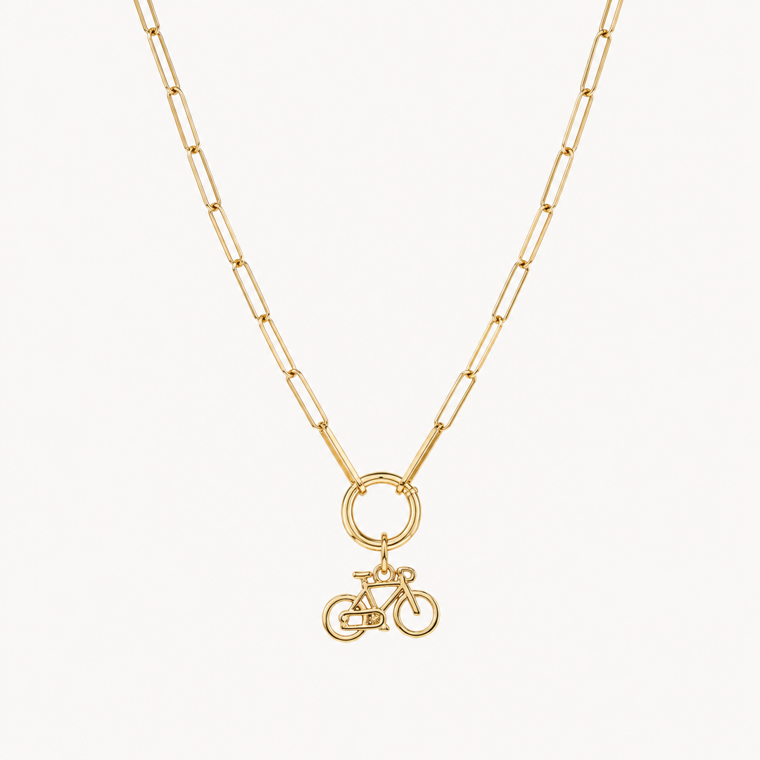 Fiets Ketting
