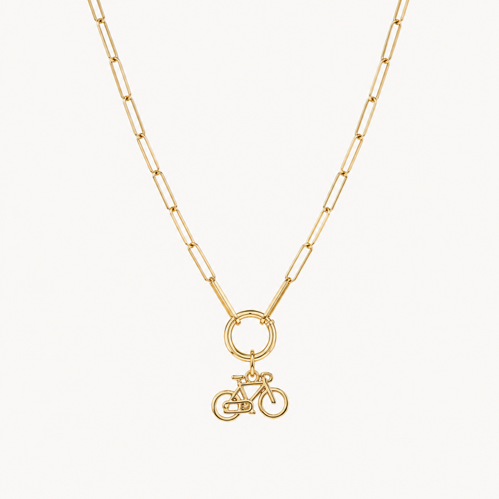 Fiets Ketting